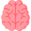 Brain