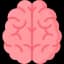 Brain